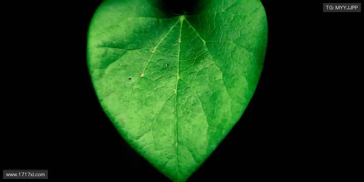 运动潮流，尽在周边！👟🎮